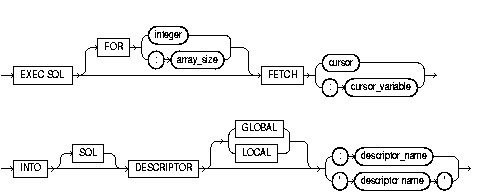 FETCH DESCRIPTOR