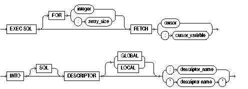 FETCH DESCRIPTOR