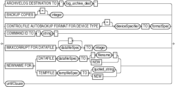 Description of setrunoption.gif follows