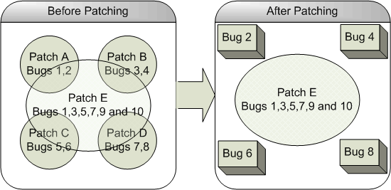 Bug Conflict