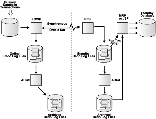 Description of Figure 6-1 follows