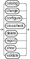 Description of maintenancecommands.gif follows Description of maintenancecommands.gif follows