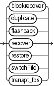 Description of restorecommands.gif follows Description of restorecommands.gif follows