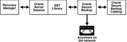 Shows RMAN and the SBT interface. Shows RMAN and the SBT interface.