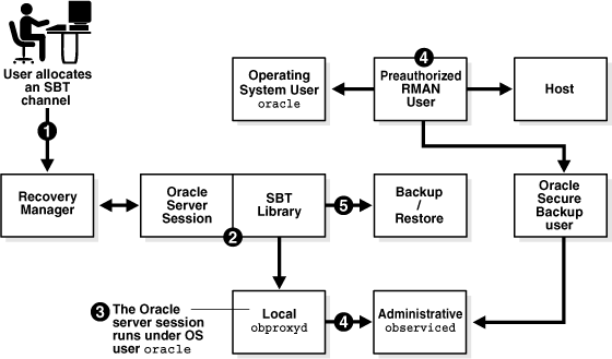 Shows the RMAN preauthorization work flow. Shows the RMAN preauthorization work flow.