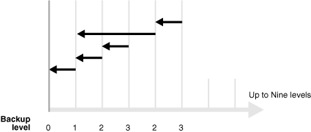 Shows that there are 9 levels of incremental backup. Shows that there are 9 levels of incremental backup.