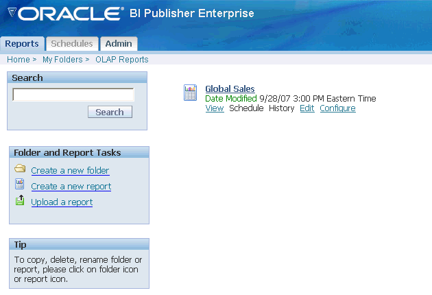 BI Publisher Report Page