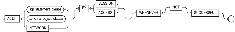 Description of audit.gif follows Description of audit.gif follows