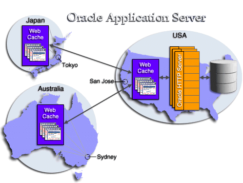 Web Cache distributed cluster hierarchy