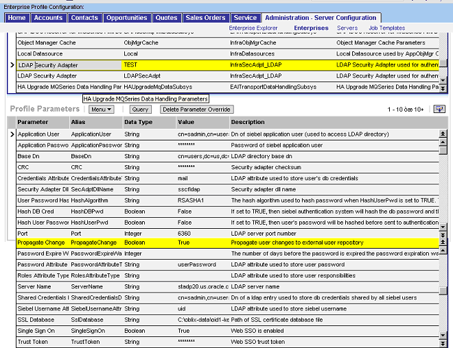 Graphic of setting Enterprise Parameters.