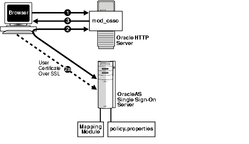 Graphic of a process. A text description follows.