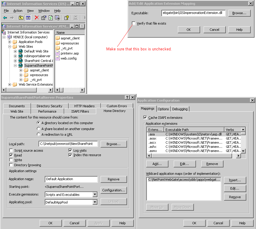 Graphic of configuring the Wildcard Extension