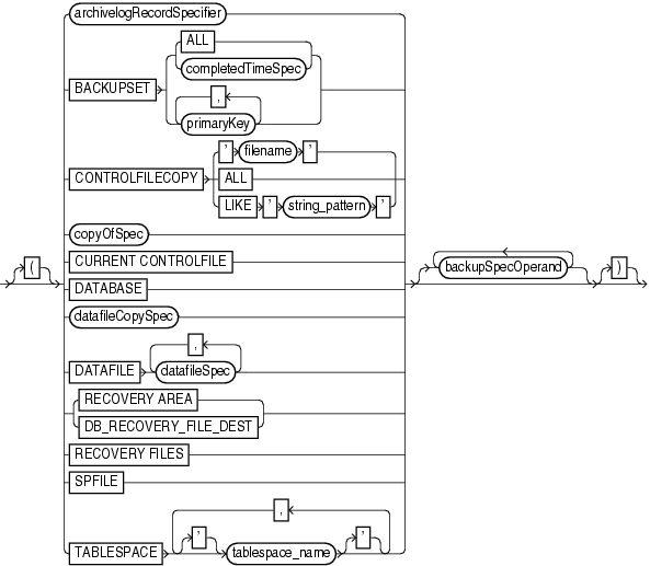 Description of backupspec.gif follows