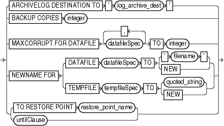 Description of setrunoption.gif follows