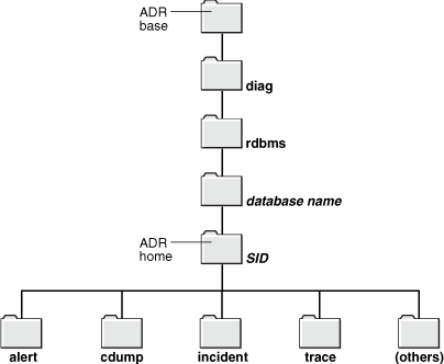 Description of Figure 8-1 follows