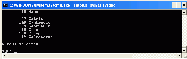 Description of nls05.gif follows Description of nls05.gif follows