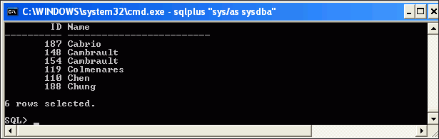 Description of nls06.gif follows Description of nls06.gif follows