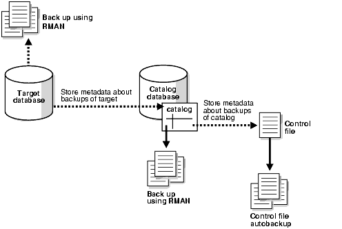 System diagram using control file as backup repository System diagram using control file as backup repository