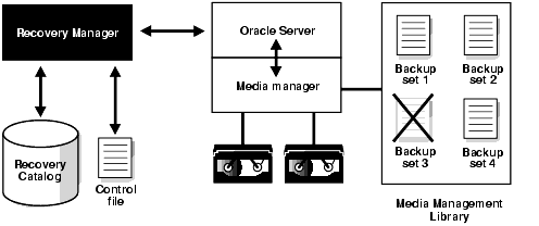 Diagram of crosschecking a media manager Diagram of crosschecking a media manager