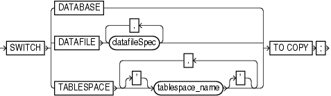 Description of switch.gif follows Description of switch.gif follows