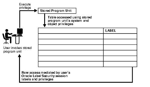 stored program unit execution stored program unit execution