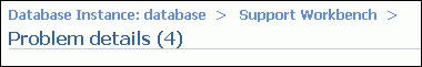 Description of problem_details_breadcrumb.gif follows Description of problem_details_breadcrumb.gif follows