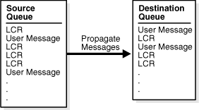 Description of Figure 1-6 follows Description of Figure 1-6 follows