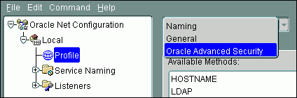 Description of netmgr_adv_sec.gif follows Description of netmgr_adv_sec.gif follows