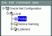 Description of netmgr_profile.gif follows Description of netmgr_profile.gif follows