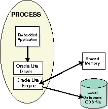 Single process embedded application with ODB libraries