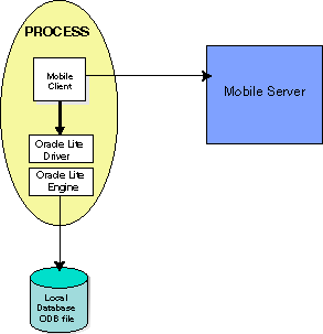 Mobile client and ODB libraries in single process