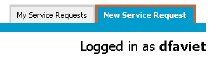 This image shows New Service Request tab for a customer.