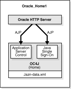 SOA administration instance