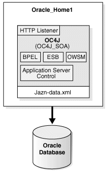 J2EE Server with the SOA Suite