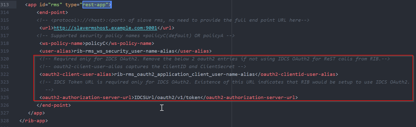 rib-deployment-env-info.xml example