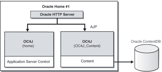 Oracle Content DB topology