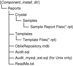 Image: resources copied to the Crystal Reports machine