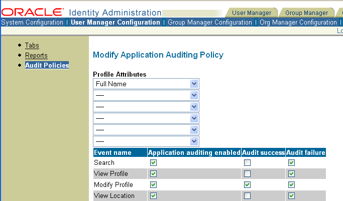 Image of modify Auditing Rules page.