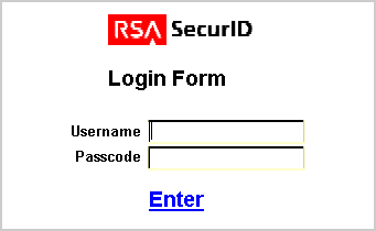 Graphic of RSA login form.