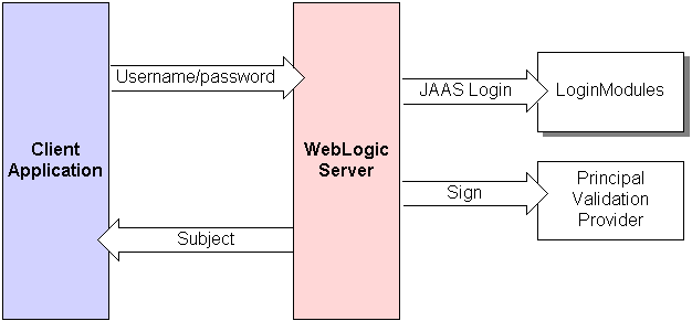 The Authentication Process