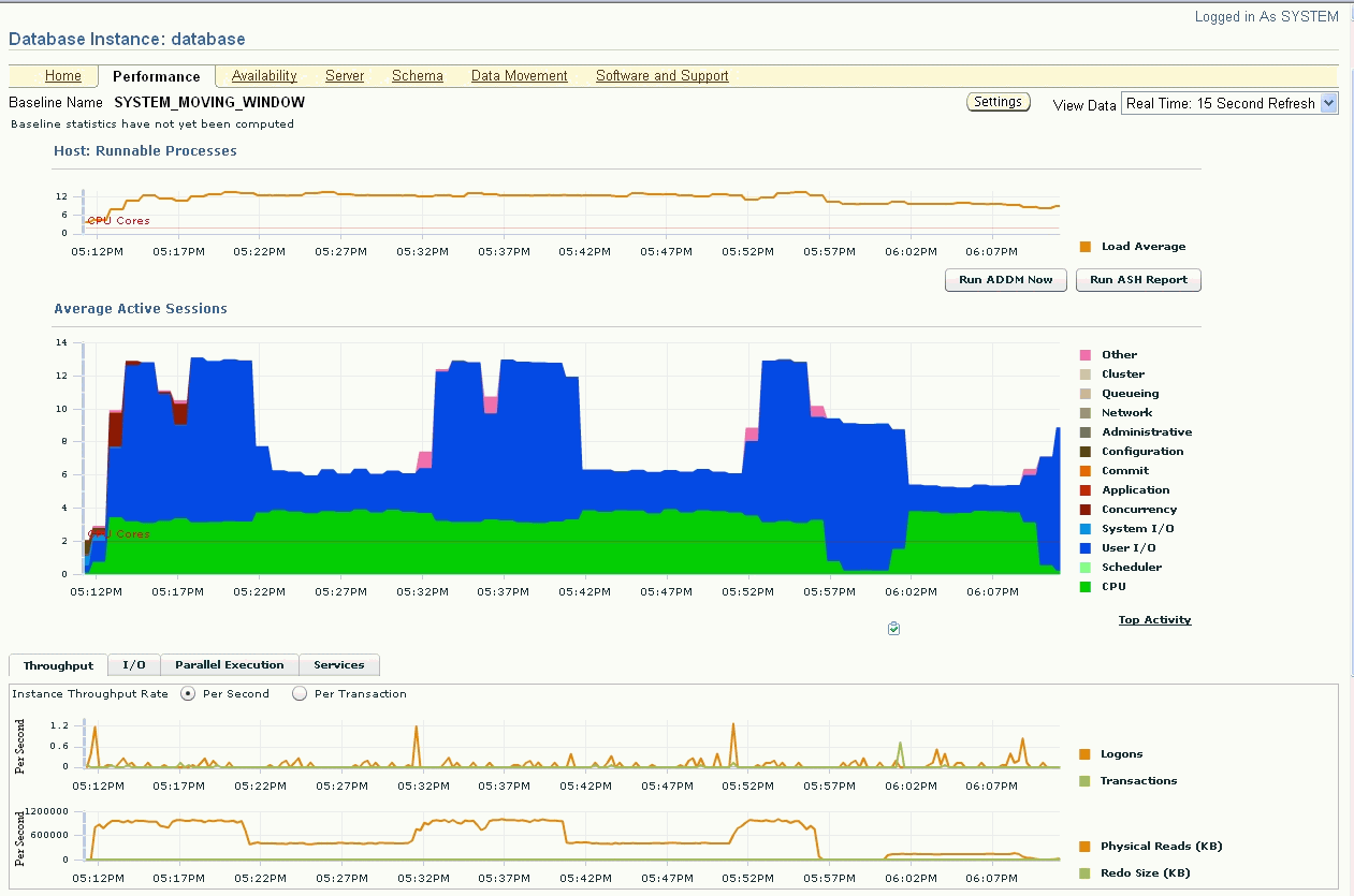 This is the Enterprise Manager Database Performance page.