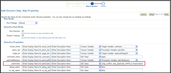 OPatch options as part of the Directive step