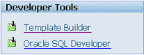 This image is an example of the Developer Tools section. This image is an example of the Developer Tools section.