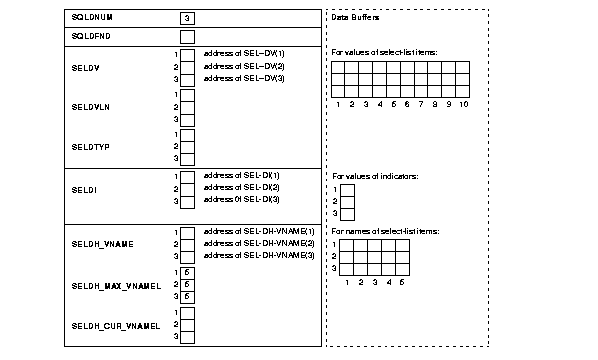 Initialized Select Descriptor Initialized Select Descriptor