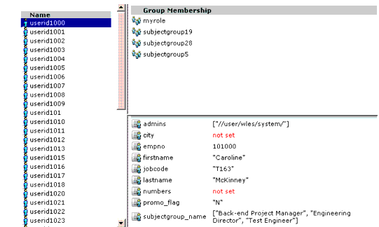 User Representation in the Administration Console