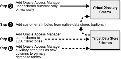 Schema extension tasks