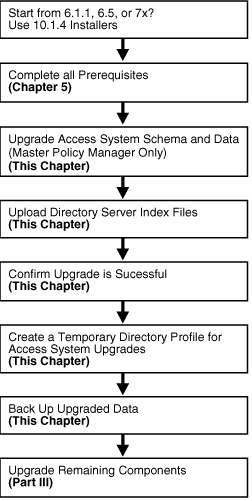 Access System Schema and Data Upgrade Tasks