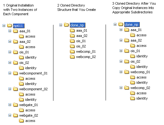 Original and Clone Directory Hierarchies in the File System