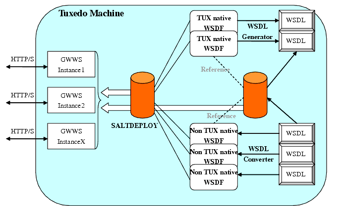 SALT Deployment Model