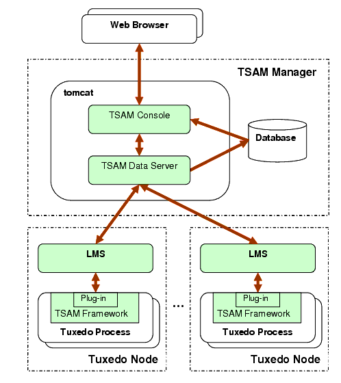 BEA TSAM Architecture